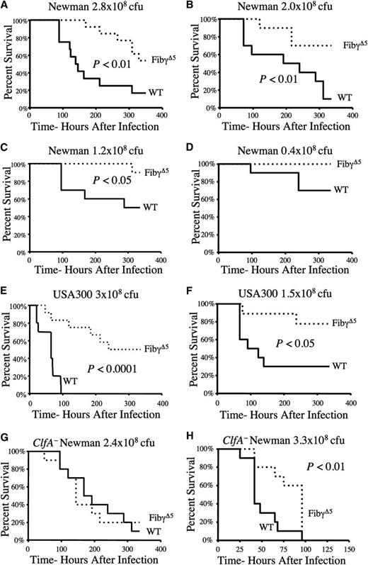 Figure 2. FibγΔ5 exhibit a distinct survival advantage over wild-type mice in S. aureus septicemia over a wide range of bacterial doses and through ClfA-dependent and ClfA-independent mechanisms. (A–D) Survival profile of wild-type and FibγΔ5 mice (N = 10 pairs) following intravenous injection with Newman strain S. aureus at the indicated doses. (E–F) Survival profile of wild-type and FibγΔ5 cohorts (N = 12 pairs) following intravenous administration of the community-associated strain of S. aureus USA300 at the indicated doses. Comparative analysis of survival in control and FibγΔ5 mice challenged in parallel with either (G) 2.4 × 108 CFUs intravenously or (H) 3.3 × 108 CFUs intravenously. ClfA-deficient derivative of S. aureus Newman. Survival was compared using the Kaplan-Meier log rank analysis.