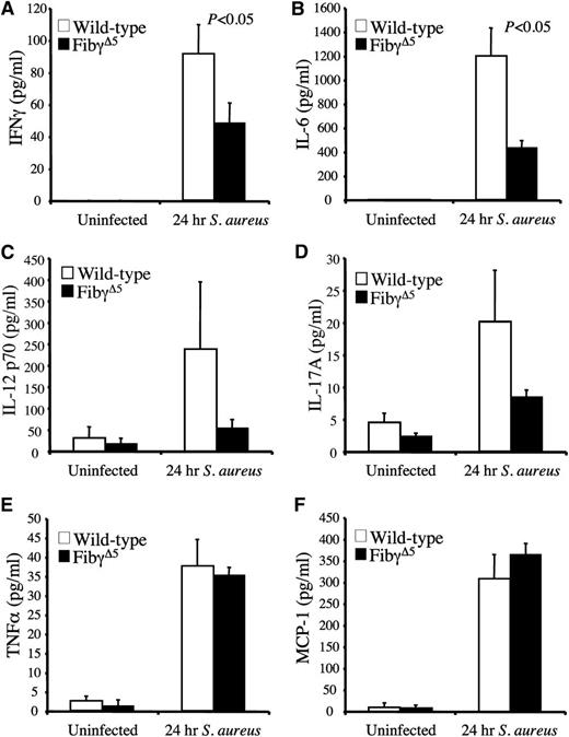 Figure 6. Diminished circulating levels of proinflammatory cytokines for FibγΔ5 mice following intravenous S. aureus infection. Circulating levels of IFNγ (A), IL-6 (B), IL-12p70 (C), IL-17A(D), TNFα, (E), and MCP-1 (F) were measured in plasma using a Luminex bead multiplex assay. Cohorts of wild-type and FibγΔ5 mice were either unchallenged (N = 4 per genotype) or administered an intravenous infection of ∼2.5 × 108 CFUs of S. aureus for 24 hours (N = 8 per genotype). The data are represented as the mean ± standard error of the mean and analyzed using the Student t test.