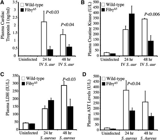 Figure 7. Significantly diminished circulating levels of multiple tissue damage markers in FibγΔ5 mice following intravenous S. aureus infection. The levels of cardiac troponin I (A), creatine kinase (B), lactate dehydrogenase (C), and AST (D) were determined in plasma from wild-type and FibγΔ5 mice that were unchallenged (N = 6 per genotype) or administered and intravenous infection of ∼2.5 × 108 CFUs of S. aureus for 24 hours or 48 hours (N = 8 per genotype). The data are represented as the mean ± standard error of the mean and analyzed using the Student t test.