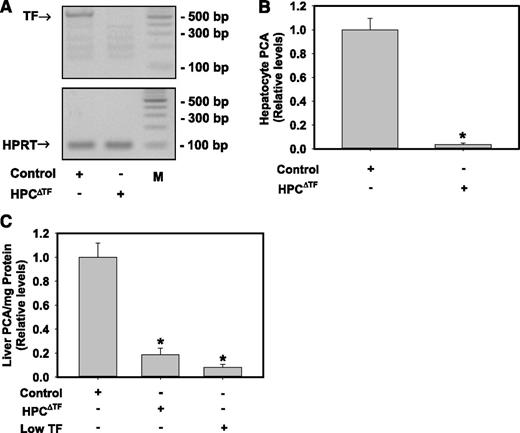 Figure 1. HPCs express TF and contribute the majority of TF-dependent PCA in liver. (A) Representative agarose gel visualization of a TF PCR amplicon from primary HPCs isolated from control mice (TFflox/flox mice) or HPCΔTF mice. HPRT is shown for loading. M: DNA ladder. (B) TF-dependent PCA from lysates of control or HPCΔTF HPCs. Data are expressed as mean ± SEM relative to control HPCs (n = 3 independent experiments). *Significantly different from control HPCs (P < .05). (C) PCA of liver homogenates from control mice, HPCΔTF mice, and low TF mice. Data are expressed as mean +SEM relative to control mice (n = 3-5 mice/group). *Significantly different from control liver homogenates (P < .05).