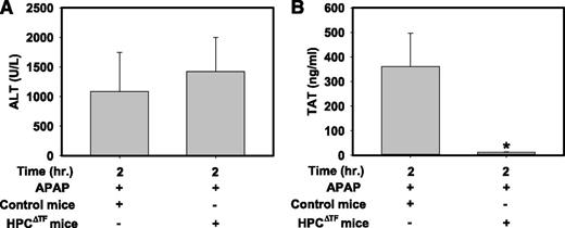 Figure 4. HPC TF is required for early thrombin generation in mice given a hepatotoxic dose of APAP. Fasted control mice (TFflox/flox mice) and HPCΔTF mice were treated with 300 mg/kg APAP. (A) Serum ALT activity and (B) plasma TAT levels were determined 2 h after APAP administration. Data are expressed as mean + SEM. *Significantly different from control mice (P < .05). n = 5 to 10 mice/group.