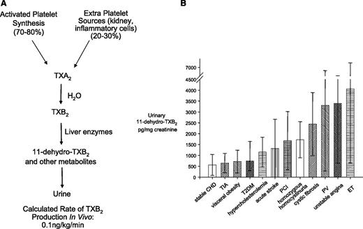Figure 1. Rate of TXB2 production in healthy subjects (A) and urinary excretion rates of 11-dehydro-TXB2 in clinical settings at high cardiovascular risk. (A) The metabolic fate of TXA2 in vivo and the calculated rate of its production in healthy subjects on the basis of TXB2 infusions and measurement of its major urinary metabolite.11,47 (B) Mean (± standard deviation) or median (interquartile range) urinary excretion rates of 11-dehydro-TXB2 in clinical settings characterized by high cardiovascular risk.7,8,12-19 CHD, coronary heart disease; PCI, percutaneous coronary intervention; T2DM, type 2 diabetes mellitus.