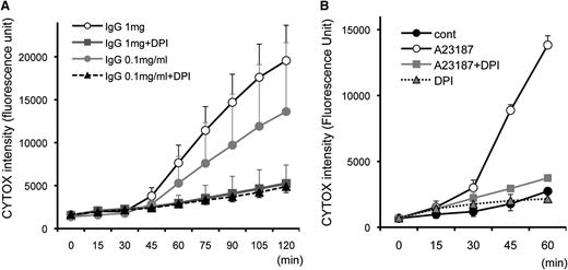 Figure 3. EETosis developing within 120 minutes in an NADPH oxidase-dependent manner. Eosinophils (in 0.1% BSA and CYTOX containing RPMI medium) incubated with (A) 1 mg/mL immobilized IgG and (B) 2 μM A23187 with the indicated stimuli concentrations induced temporal EETosis cytolysis (extracellular CYTOX intensity) attributable to DPI-inhibitable NADPH oxidase activity. For (A), data are means ± SD, from 3 different donors, and for (B), data are means ± SD from 4 different donors.