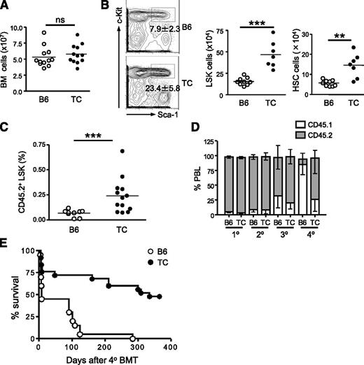 Figure 1. Lupus TC mice possess an expanded population of HSPCs with enhanced self-renewal capacity. (A) The total number of nucleated BM cells from lupus TC and age-matched B6 mice were enumerated. Each symbol shows data from 1 mouse. (B) Lineage-negative BM cells from lupus TC and B6 control mice are displayed by c-Kit and Sca-1 staining in the contour plots. The LSK population in the rectangular gate is shown with percentages ± SD. The absolute number of LSK cells (middle panel) and long-term HSCs (right panel) in the BM from each mouse is shown by each dot. ***P < .001; **P < .01. (C) Irradiated B6.SJL mice were engrafted with 2 × 106 BM cells of lupus TC or B6 mice, and analyzed for donor-derived LSK cells in the BM 4 to 5 months after transplantation. Each dot corresponds to the percentage of BM LSK cells in each mouse. (D) The frequencies of donor-derived peripheral blood leukocytes (PBL) in recipients at each round of serial transplantation are shown by gray bars representing the mean ± SD (n = 10). (E) Survival curve of recipient mice after quaternary transplantation with BM cells of B6 or lupus TC origin (B6, n = 20; TC, n = 25). BMT, bone marrow transplantation; ns, not significant.