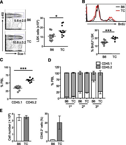 Figure 2. Expansion of HSPCs with higher repopulating capacity occurs before lupus onset. Eight- to 10-week-old B6 and healthy TC mice were used for this study. (A) Percentages of LSK cells in the BM of B6 and TC mice are displayed as mean ± SD in contour plots. Right panel shows the total number of BM LSK cells with each dot symbolizing the value from 1 mouse. (B) B6 and TC mice were labeled with BrdU for 16 hours. The histogram shows a representative profile of BrdU staining of LSK cells. The percentage of BrdU+ cells in the BM LSK population in B6 and TC mice is shown by individual open and closed dots. (C) Competitive transplantation was done by transferring 106 BM cells from TC mice (CD45.2+) together with 106 BM cells from B6.SJL mice (CD45.1+) into irradiated B6.SJL F1 mice (CD45.1+). Hematopoietic repopulation by cotransferred TC and B6.SJL BM cells was analyzed 18 weeks after transplantation by determining the percentages of CD45 isotype expressing PBL. Each dot corresponds to the percentage of donor-derived BM LSK cells in each mouse. (D) The frequencies of donor-derived PBL in recipients at each round of serial transplantation are shown by gray bars representing the mean ± SD (n = 6). (E) An equal number of LSK cells purified from TC or B6 mice were cultured in medium containing 50 ng/mL stem cell factor, 10 ng/mL IL-6 and 10 ng/ml IL-3. Seven days later, cells were harvested and counted. A total of 106 cells derived from TC or B6 LSK cells were transferred into irradiated B6.SJL mice. Reconstitution was examined 10 months later. Left: Bars depict the number of total nucleated cells harvested from the 7-day culture. Right: Bars show the percentage of donor-derived PBL. Data are presented as mean ± SD (n = 4).