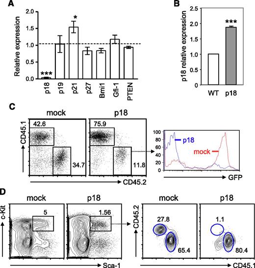 Figure 3. p18INK4c, which negatively regulates HSC repopulating potential, is undetectable in HSPCs from TC mice. (A) Quantitative RT-PCR analysis was performed with fluorescence-activated cell sorted LSK cells from 2 TC or B6 mice. cDNA input was normalized to the level of β-actin. Relative expression levels of each gene transcript in TC LSK cells relative to those in B6 controls are shown as the mean ± SD of 3 independent experiments. *P < .05; ***P < .001. (B) The relative expression level of p18INK4c in Lin− BM cells from BM chimeras engrafted with MSCV-p18 transduced BM cells (p18) is presented as fold induction compared with that detected in B6 Lin− BM cells (WT). ***P < .001, n = 3. (C) Peripheral engraftment was examined by fluorescence-activated cell sorting analysis with antibodies against CD45.1 and CD45.2. Percentages of donor (CD45.2) and recipient PBL (CD45.1) are indicated in the dot plots. Histograms show GFP expression within the donor population. (D) Left contour plots show the percentage of LSK cells in mice reconstituted with BM cells transduced with control MSCV retroviral vector (mock) or with MSCV-p18 vector (p18). Right contour plots show the chimerisms of the LSK population.