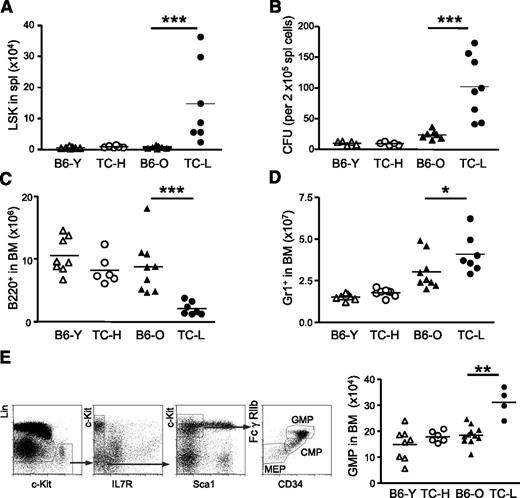 Figure 4. Disease conditions of lupus correlate with HSPC mobilization and lineage biased hematopoietic output. (A) Each symbol represents the number of LSK cells in the spleen of each mouse of indicated groups. (B) CFU assays were performed to evaluate relative frequencies of clonogenic HSPCs in total splenocytes of mice for indicated groups. Each symbol represents the value of 1 mouse. (C) Each symbol displays the absolute number of B220+ cells in the BM of mice for indicated groups. (D) Each symbol displays the absolute number of Gr1+ cells in the BM of mice for indicated groups. (E) Dot plots show fluorescence-activated cell sorting analysis of myeloid progenitors. The absolute numbers of GMPs in each mouse of indicated groups are shown by each symbol. *P < .05; ***P < .001. B6-O, old B6 mice at 10 months of age; B6-Y, young B6 mice at 8 to 10 weeks of age; TC-H, healthy TC mice at 8 to 10 weeks of age; TC-L, lupus TC mice at 10 months of age.