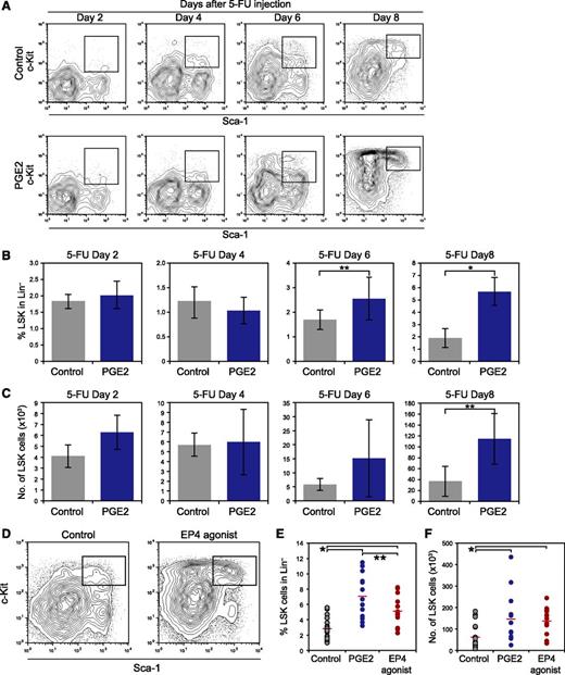 Figure 7. Treatment with PGE2 or the EP4 agonist enhances hematopoietic recovery from myelosuppression in vivo. (A) Representative FACS profiles of LSK cells in control- and PGE2-treated mice 2, 4, 6, and 8 days after 5-FU injection. Twice-daily injections with PGE2 (6 mg/kg body weight, IP) or ethanol were commenced the day after 5-FU injection. (B) The percentage of LSK cells in the Lin– fraction in control and PGE2-treated mice 2, 4, 6, and 8 days after 5-FU injection. Data represent means ± SD (*P < .01; **P < .05, n = 5/group). Representative data from 2 independent experiments are shown. (C) Number of LSK cells in control and PGE2-treated mice 2, 4, 6, and 8 days after 5-FU injection. Data represent means ± SD (**P < .05, n = 5/group). (D) Representative FACS profiles of LSK cells in control mice and EP4 agonist–treated mice 8 days after 5-FU injection. Twice-daily injections with the EP4 agonist (50 μg/kg body weight, IP) or ethanol were commenced the day after 5-FU injection. Representative data from 3 independent experiments are shown. (E) The percentage of LSK cells in the Lin– fraction in control mice and in PGE2- and EP4 agonist–treated mice 8 days after 5-FU injection (*P < .01; **P < .05, Control: n = 18, PGE2: n = 13, EP4 agonist: n = 14). (F) Number of LSK cells in control mice and in PGE2- and EP4 agonist–treated mice 8 days after 5-FU injection. The data indicates the number of LSK cells per mice (2 femurs and 2 tibias) (*P < .01, Control: n = 18, PGE2: n = 13, EP4 agonist: n = 14).