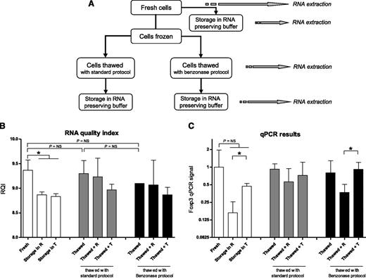 Figure 1. Cell storage and thawing. (A) The scheme shows manipulations of PBMC before RNA extraction. Where appropriate, RNA was preserved in both RNAlater and TRIzol. (B) The effect of freeze-thawing PBMC, combined with the effect of storage in various RNA-preserving reagents, on RNA quality is shown. RNA samples were analyzed on StdSense gels to assess integrity expressed as RNA quality index (RQI). (C) For the same conditions, PCR signals in cDNA that was synthesized from the RNA samples were determined. R, RNAlater; T, TRIzol. *P < .05.