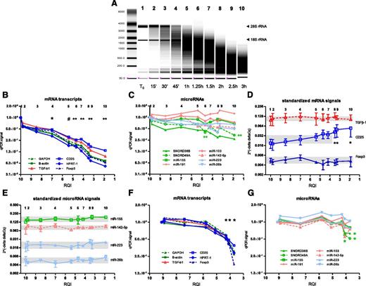 Figure 4. Effect of RNA degradation. RNA was extracted from PBL blasts, and RNA degradation was induced by exposure to 90°C for times indicated. (A) Representative picture of RNA electropherogram showing impact of heat exposure on RNA integrity. (B) RQI, as an indicator of RNA quality, was analyzed (x-axis). The numbers 1 to 10 at the top of the graph indicate time points corresponding with the numbers in the RNA electropherogram. mRNA levels were assessed by qPCR, targeting high-abundance (green), medium-abundance (red), and low-abundance (blue) markers. For each marker, the mean PCR signal at t=0 was set to 1. The graph shows means of 4 experiments. *P < .05; #P < .01; **P < .005 vs mean of the first 2 time points. (C) MicroRNA levels were assessed by qPCR, targeting high-abundance (green), medium-abundance (red), and low-abundance (blue) markers. The graph shows means of 3 experiments. **P < .005 vs mean of first 2 time points for SNORD49A. (D-E) PCR signals for individual mRNA transcripts and microRNAs were corrected for reference markers using the 2-ΔΔCq method. The upper and lower boundaries of the shaded areas indicate maximum and minimum values, respectively. *P < .05 vs first time point. (F-G) Experiments investigating the effect of RNA degradation on PCR signals were repeated with RNA from PBMC obtained directly from blood. mRNA transcripts (F) and microRNAs (G) were analyzed. *P < .05 vs mean of the first 2 time points (F: each mRNA transcript; G: only for SNORD38B and SNORD49A).