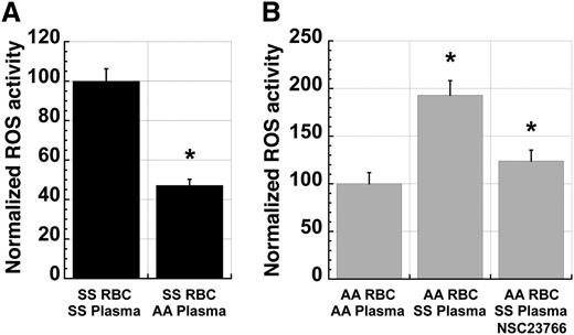 Figure 5. Sickle plasma activates ROS production in erythrocytes in a manner dependent on Rac-GTPase activity. (A) ROS production in fraction 1 SS RBC decreases significantly with incubation in ABO-matched AA plasma when compared with RBC incubated in endogenous or exogenous ABO-matched SS plasma. Cells were incubated for 24 hours in a standard tissue-culture incubator at 37°C before incubating with CM-H2-DCFDA for ROS quantitation. n = 20 and P < .05. (B) ROS production in fraction 1 AA RBC increases significantly with incubation in ABO-matched SS plasma compared with RBC incubated in endogenous or exogenous ABO-matched AA plasma. This induction is partially blocked by coincubation with NSC23766 (500 µM). Cells were incubated for 4 hours in a standard tissue-culture incubator before staining with CM-H2-DCFDA. n = 17 and P < .05.