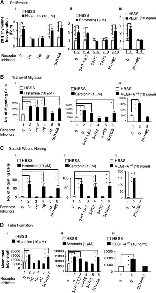 Figure 1. Actions of histamine and serotonin on cultured EC. (A) H3 thymidine incorporation. (B,C) Transwell and scratch monolayer migration. (D) Tube formation. Serum-starved HUVEC, with or without pretreatment with indicated inhibitors or antagonists, were stimulated with histamine (10 μM), serotonin (1 μM), or VEGF-A165 (10 ng/mL), as described in “Methods.” Results are summarized in Table 1. (A) 3H thymidine incorporation assay (n = 4; data are representative of 3 independent experiments). (B) Transwell migration (n = 4; data are representative of 3 independent experiments). (C) Scratch monolayer migration (total n = 20 from three independent experiments). (D) Tube formation (n = 20 from 3 independent experiments). *P < .05; **P < .01; ***P < .001. Tukey-Kramer multiple comparisons test (A, B, D); Kruskal-Wallis test with Dunn multiple comparison (C).
