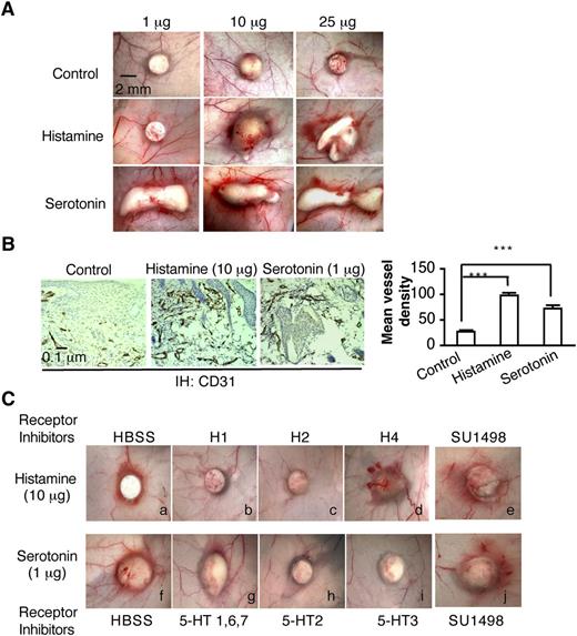 Figure 2. Histamine and serotonin induce angiogenesis in vivo. (A) Female, 4-to 5-week Nu/Nu mice were implanted subcutaneously with control pellets or pellets that contained indicated amounts of histamine or serotonin. Tissues were dissected and photographed 3 days later. (B) Tissues adjacent to pellet implant sites were immunostained with an antibody against CD31. Mean vessel density was calculated with Image J software as described in “Methods” (n = 10 from 4 animals per group). ***P < .001, Student t test. (C) Effect of various histamine and serotonin receptor antagonists on angiogenesis induced in Nu/Nu mice by histamine- or serotonin-releasing pellets. Inhibitors (1mg/kg) were injected intraperitoneally daily, beginning when the pellets were implanted; in addition, a single injection of inhibitor (1 micromole in 50 μl or HBSS as control) was administered intradermally daily directly over the pellet implant site. Tissues were harvested and photographed on day 6. Histamine-induced angiogenesis was strongly inhibited by 1H and H2 antagonists but not by an antagonist of H4. Serotonin-induced angiogenesis was strongly inhibited by an antagonist of serotonin receptor types 2 and 3, but not by antagonists of types 1, 6, and 7. SU1498, an inhibitor of VEGFR-2, had no effect on angiogenesis induced by either histamine or serotonin. Data are representative of 8 mice in each group.
