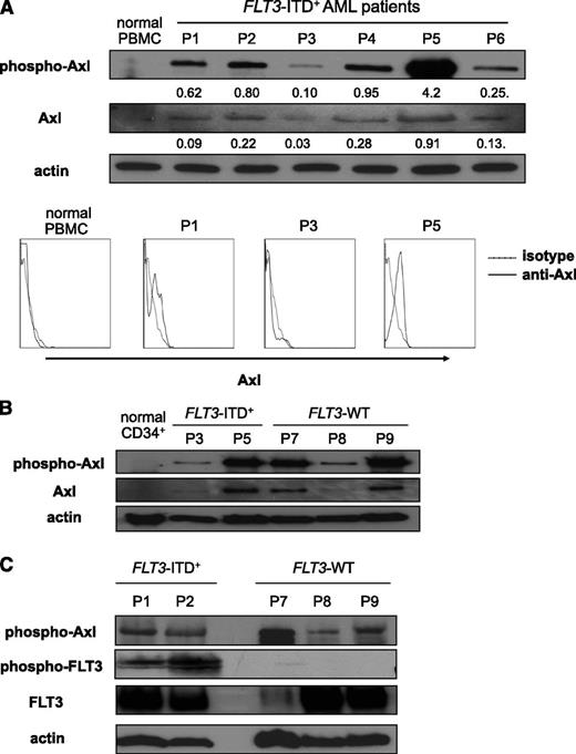 Figure 1. Axl is constitutively active in primary human AML blasts. (A) AML blasts from six FLT3-ITD+ patients (P1 to P6) were subjected to immunoblot to detect phospho-Axl and Axl (top). Actin was used as a loading control. Peripheral blood mononuclear cells were obtained from a normal, healthy donor by Ficoll gradient centrifugation and were used as a negative control. Numbers under each row indicate the ratio of the intensity of each band (phospho-Axl or Axl) relative to that of the actin band. Cells from panel A were analyzed for surface expression of Axl by flow cytometry using an antibody against Axl (bottom). A nonreactive isotype antibody was used as a negative control. (B) AML blasts from 2 patients possessing FLT3-ITD mutations (P3 and P5) and from 3 patients harboring FLT3-WT (P7 to P9) were subjected to immunoblot to detect phospho-Axl and Axl. CD34+ cells from a normal, healthy donor were used as a negative control. (C) AML blasts from 2 patients possessing FLT3-ITD mutations (P1 and P2) and from 3 patients harboring FLT3-WT (P7 to P9) were subjected to immunoblot to detect phospho-Axl, phospho-FLT3, and FLT3. PBMC, peripheral blood mononuclear cell.