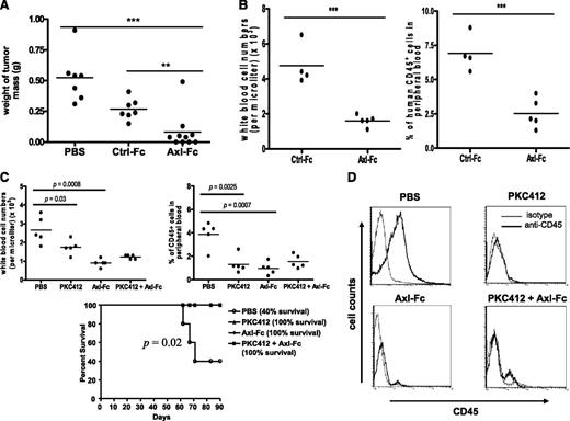 Figure 6. Blocking Axl activation inhibits FLT3-ITD+ AML in vivo. (A) SCID mice were injected subcutaneously with cells from the MV4;11 human FLT3-ITD+ AML cell line (5 × 106 cells per mouse), and 10 days later treatment of the mice with PBS (n = 7), Ctrl-Fc (n = 7), or Axl-Fc (n = 10) was initiated as described in “Materials and methods,” followed by sacrifice and tumor measurement. Each filled circle indicates the weight of tumor mass from each mouse and the line shows the mean tumor weight of each experimental group. **P < .01, ***P < .001. (B) Irradiated SCID mice received an intravenous injection of primary human FLT3-ITD+ AML blasts (2 × 107 cells per mouse). Four weeks later, thrice-weekly intraperitoneal administration of Ctrl-Fc (n = 4) or Axl-Fc (n = 5) was started. Eight weeks after injection of AML blasts, WBCs (left) and the percentage of human CD45+ cells (right) in peripheral blood were quantified. Each filled circle represents the data from each mouse and the line shows the mean of each experimental group. ***P < .001. (C) Irradiated SCID mice were intravenously injected with primary FLT3-ITD+ AML blasts from a patient (2 × 107 cells per mouse; different from the patient sample used in panel B). Four weeks later, thrice-weekly administration of PBS (n = 5), PKC412 (n = 5), Axl-Fc (n = 5), or PKC412 plus Axl-Fc (n = 5) was started. Whereas PBS and Axl-Fc were administered with intraperitoneal injection, PKC412 was administered orally. Eight weeks after injection of AML blasts, the number of WBCs (top left) and the percentage of human CD45+ cells (top right) in peripheral blood were quantified. Each filled circle represents the data from each mouse and the line shows the mean of each experimental group. Kaplan-Meier plot of survival (bottom). Statistical significance was assessed using log-rank test (P = .02). Mice were sacrificed when they became moribund. The study ended at 90 days after the injection of primary patient FLT3-ITD+ AML cells into SCID mice. (D) At 90 days, all the mice still alive were killed and bone marrow was collected from each mouse and analyzed with fluorescence activated cell sorting to detect human CD45+ cells. Thin and thick lines indicate staining with isotype control antibody and anti–human CD45 antibody, respectively. The histograms shown are the representative of each experimental group.