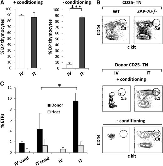 Figure 4. Long-term persistence of semiallogeneic donor-derived ETPs is detected only after intrathymic transplantation of BM progenitors. (A) Bar graph quantification of the percentages of donor-derived DP cells (CD4+CD8+) detected in the thymi of mice 28 weeks after transplantation of intravenous- or intrathymic-administered semiallogeneic progenitors, in the absence or presence of a preconditioning regimen. Data are presented as mean ± SD (***P < .0001). (B) Representative dot plots showing the percentages of ETPs in the thymi of C57Bl/6 (WT) and ZAP-70−/− mice. ETPs were assessed by CD44/c-Kit staining on gated donor-derived CD25-TN thymocytes. The percentages (n = 6) as well as absolute numbers (n = 8) of ETPs were determined, and mean ± SD are presented (P = .003 for percentages and P = .006 for absolute numbers). (C) Representative dot plots showing the percentages of ETPs detected in the thymi of mice transplanted by intravenous or intrathymic administration, in the absence or presence of prior conditioning. Bar graph quantification of the percentages of donor and host ETPs in the thymi of conditioned and nonconditioned recipient mice 28 weeks after intravenous and intrathymic transplantation of semiallogeneic progenitors. Mean ± SD are presented (*P < .05).