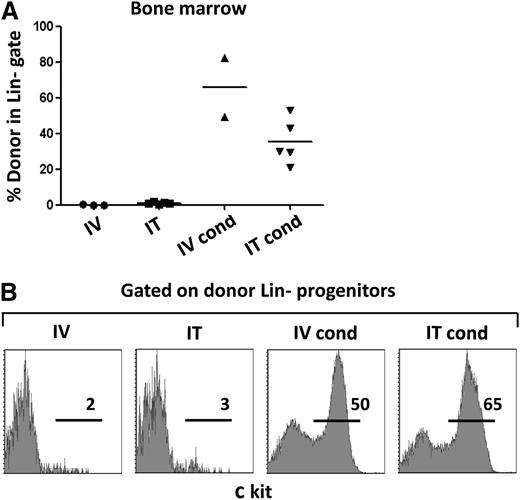Figure 5. Myeloablative conditioning results in long-term engraftment of semiallogeneic c-Kit+ BM progenitors administered by intravenous as well as intrathymic routes. (A) Quantification of the percentages of semiallogeneic donor cells detected within the lineage-negative BM population. Mice were either nonconditioned or preconditioned with busulphan/cyclophosphamide (cond). At 28 weeks posttransplantation, BM was isolated and the presence of donor cells within the lineage-negative progenitor gate was determined by flow cytometry. Each point represents data from a single mouse, and mean levels are indicated by a horizontal line. (B) Expression of the stem cell receptor c-Kit was assessed on lineage-negative donor progenitors in each group, and a representative histogram from 1 mouse in each group is presented.
