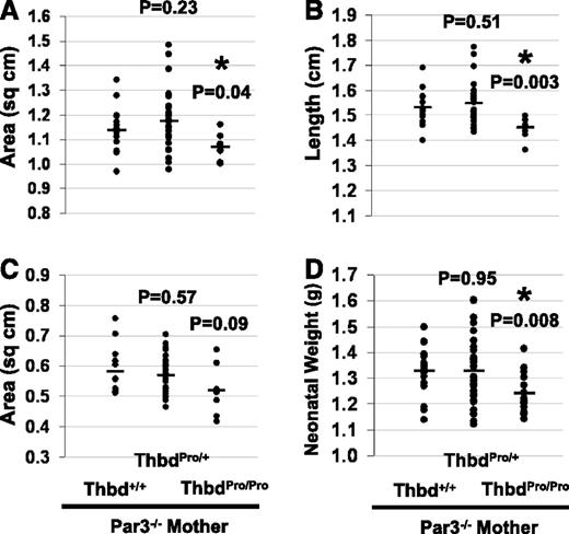 Figure 3. Par3 deficiency in the mother allows survival of ThbdPro/Proembryos, but these are growth retarded in utero and smaller at birth. Pregnancies of Par3−/−FVQ/QThbdPro/+ females mated to ThbdPro/+ males were analyzed at 15.5 dpc. Lengthwise cross-sectional area (A), length of the embryo (B), and placental cross-sectional area (C) were measured from digital photographs taken at a known magnification and resolution. Neonatal weight was taken within 18 hours of birth (D). P values were computed in comparison with Thbd+/+ controls.