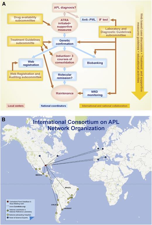 Figure 1. Organization of the IC-APL network for the diagnosis and treatment of a given case of APL. Actions taken at the local centers are indicated in red and those taken at the national reference laboratories are indicated in blue. (A) The interaction with the panel of international experts and the educational activities are shown in yellow. (B) Geographical distribution of the IC-APL institutions.