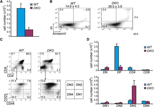 Figure 3. Hdac1 and Hdac2 collectively show obligate haploinsufficiency in tumor suppression. (A) Quantification of thymocytes in 1-week-old WT and LckCre;Hdac1Δ/Δ;Hdac2Δ/Δ (DKO) mice (n = 3 mice per genotype). (B) Apoptosis in thymi of 1-week-old WT and DKO mice, as determined by annexinV and PI staining. Mean percentages and standard deviations of apoptotic (annexinV+PI-) cells are presented on top (n = 3 mice per genotype). (C) Representative CD4/CD8 (top panel) and CD25/CD44 (bottom) flow cytometry dot plots of thymocytes from 1-week-old WT and DKO mice. Scheme on the right indicates DN stages of thymocyte development. (D) Quantification of thymic subsets in 1-week-old WT and DKO mice. DN = CD4-CD8-; DP = CD4+CD8+; CD4 SP = CD4+CD8-; CD8 SP = CD4-CD8+; DN1 = CD25-CD44+; DN2 = CD25+CD44+; DN3 = CD25+CD44-; DN4 = CD25-CD44-. WT, wild type.