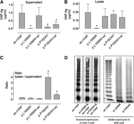 Figure 2. Multimeric analysis and expression levels of recombinant mutant VWF. VWF cDNAs encoding wt, p.L1696R, or p.P1824H mutants were transfected in COS-7 cells. Cotransfections (1:1) of the mutant with wt cDNA were also performed in COS-7 cells. VWF:Ag levels resulting from these different transfections were measured by enzyme-linked immunosorbent assay in both cell supernatants (A) and cell lysates (B) and are expressed as micrograms per milliliter. The ratio of VWF:Ag in lysates over supernatants (SN) is also represented (C). Data represent means ± SD of 3 independent experiments. *P values < .05 compared with wt values. The multimeric profile of the various recombinant proteins was analyzed through 2% sodium dodecyl sulfate-agarose gel electrophoresis (D).
