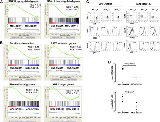 Figure 6. MCL SOX11-negative primary tumors lose B-cell identity and gain in a plasmablast gene signature. (A-B) GSEA analysis on preranked lists. (A) Using our customized gene sets described in “supplemental Materials and methods,” SOX11 upregulated and downregulated genes and primary MCL-SOX11+ tumors are enriched for SOX11-upregulated genes whereas primary MCL-SOX11− tumors are enriched in SOX11-downregulated genes. (B) MCL-SOX11+ tumors are enriched in B-cell vs plasmablast and PAX5 activated genes gene sets whereas MCL-SOX11− tumors are enriched in plasmablast signature and XBP1 target genes. NES and FDR are shown. Statistical significance is considered when FDR < 0.1. (C) Analysis of CD24 and surface IgM expression in CD19+ CD5+ cells (MCL-SOX11+) or CD19+ CD5− cells (MCL-SOX11−). Numbers inside the histograms indicate the percentage of positive cells above the isotype control. (D) Mean fluorescence intensity (MFI) of surface CD24 and IgM expression in primary MCL tumors.