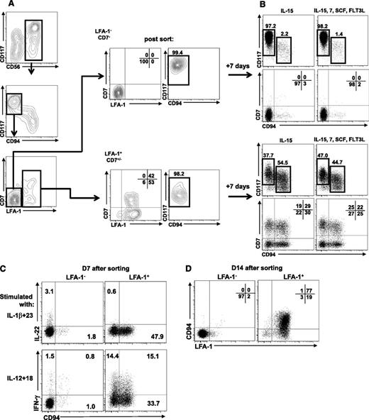 Figure 4. CD56+LFA-1- ILC22 cells do not become cNK cells. (A) At day 21, stage III progenitors (CD56+CD94-CD117high) were sorted on the basis of LFA-1 expression for ILC22 cells (LFA-1−) and cNK cells (LFA-1+). (B) Cells were cultured with IL-15, IL-7, SCF, and FLT3L or IL-15 alone for additional 7 days. Greater than half of the stage III cells that expressed LFA-1 at the time of sorting acquired CD94 and therefore differentiated into stage IV or V cNK cells. In contrast, stage III cells that were LFA-1− did not acquire CD94 and maintained an ILC22 phenotype in either cytokine condition. (C) LFA-1− stage III cells, but not LFA-1+ cells, produce IL-22 in response to IL-1β+23 after 7 days of culture in IL-15. In contrasts, the LFA-1+ cells express IFN-γ in response to IL-12+18. (D) After cultivation with IL-15 for 14 days, most of LFA-1+ sorted cells acquired CD94, whereas LFA-1− stage III maintained LFA-1−CD94− phenotype. Results are representative of 5 donors. D, day.