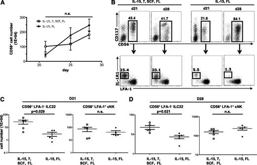 Figure 5. cNK cells, but not ILC22 cells, can be generated with IL-15 and FLT3L. (A) CD34+ progenitors were cultured with 4 cytokines (IL-7, IL-15, SCF, and FLT3L) or with only IL-15 and FLT3L. There were no differences in the total numbers of CD56+ cells generated under these two conditions (P > .05) (n = 5). (B) Representative FACS plots showing the percentage of CD56+ cells and the distribution of cells that show an ILC22 phenotype (IL-1R1+ and LFA-1−) at day 21 and day 28 in the above culture conditions. (C-D) In cultures lacking IL-7 and SCF, significantly fewer ILC22 cells (CD56+LFA-1−CD7−) were generated at day 21 (P = .029, n = 5) and day 28 (P = .021, n = 5). In contrast, no differences in cNK cells were detected at either day 21 or day 28. D, day; FL, FLT3L; n.s., not significant.