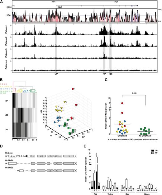 Figure 2. ERG expression in AML patients is proportional to the degree of H3K9/14Ac enrichment at the ERG promoters and +85 stem cell enhancer. (A) H3K9/14Ac enrichment across the ERG locus was measured in 26 AML samples by ChIP-chip. The enrichment profiles broadly fell into 4 visually recognizable patterns. Representative profiles of each pattern are shown below the Vista human/mouse sequence conservation (> 50%) plot. See supplemental Figure 1 for enrichment profiles in individual patients. (B) To group AML patients based on this epigenetic mark, 2 unsupervised clustering algorithms were used in conjunction with normalized H3K9/14Ac enrichments at the promoters and +85 stem cell enhancer. The panel to the left shows the hierarchical clustering pattern of patients together with a heat map representation of H3K9/14Ac enrichments. Sample IDs are listed to the left of the heat map and correspond to columns from left to right. The panel to the right shows the output of k-means clustering. The identity of patient samples in each group was the same irrespective of the clustering algorithm. (C) ERG transcripts in AML samples were measured by qRT-PCR and correlated with H3K9/K14Ac enrichment at the ERG promoter and +85 enhancer (right) using Mann-Whitney U test for statistical analysis. (D) Schematic diagram of the ERG locus (not to scale) showing the composite exon-intron structure of human ERG (upper). The translated exons are colored gray, and the positions of the promoter/enhancer elements relative to exons are indicated (the promoters as DP and PP and the +85 enhancer as a black bar). Exon usage of 2 transcripts originating from the distal promoter (Hs ERG2) and proximal promoter (Hs ERG3) are shown. (E) ERG transcripts originating from either the distal or proximal promoter were quantified. Their abundance is shown relative to total ERG in each AML sample.