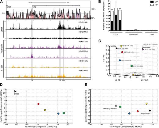 Figure 4. Degree of stemness of the AML transcriptome is related to activity of the ERG +85 stem cell enhancer. (A) ChIP-chip profiles for active (H3K9/14Ac) and inactive (H3K27Me3) histone marks across the ERG locus are shown for normal CD34+ stem/progenitors, mature neutrophils, and CD3+ T cells. CD34+ cells show active marks at both promoters and the +85 enhancer and no inactive marks. Neutrophils show bivalency at the distal promoter and active marks at the proximal promoter and enhancer. T cells show no active marks and modest enrichment of inactive marks at these sites. (B) Abundance and types of ERG transcripts in each cell type shown in the previous panel. (C) A 3-dimensional display of normal CD34+ stem/progenitors and 26 AML samples plotted according to normalized levels of enrichment of specific histone marks at their ERG promoter/enhancer elements. Individual AML samples were clustered as before into 4 groups, with the arithmetic mean of each group plotted in the figure. Samples in the red and yellow groups in particular display more epigenetic similarity with normal CD34+ stem/progenitors compared with samples in the green group. (D) A PCA of global gene expression profiles of normal CD34+ stem/progenitors and 25 AML samples is shown. As before, the arithmetic mean of each group is plotted. The transcriptomes of AML samples in the red group that, along with the yellow group, shares the closest epigenetic identity (at the ERG locus) to normal CD34+ stem/progenitors also display the closest transcriptional identity. There is progressive loss of transcriptional similarity to CD34+ cells as the AMLs lose their epigenetic identity (at the ERG locus) with CD34+ cells. (E) A PCA of transcriptomes of NOD/SCID engrafting and nonengrafting AML fractions3 computed with the transcriptomes of our 25 AML samples is shown. As before, the arithmetic mean of each group is plotted. The AML samples that lack an active enhancer mark (green group) cluster closer to the nonengrafting AML fraction, whereas those samples with an active enhancer and transcriptome that is closer to normal CD34+ cells (red and yellow) cluster closer to engrafting AML fractions.