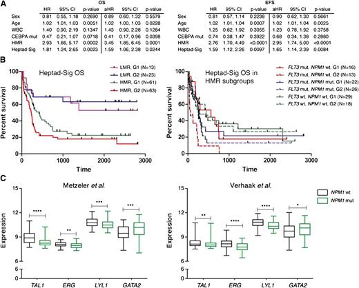 Figure 6. The heptad signature is associated with distinct molecular subtypes of AML. (A) Multivariable analysis for OS and EFS for different variables. (B) The cytogenetically normal AML samples were further subdivided into LMR and HMR groups and survival recalculated based on the Heptad-sig. The panel to the left shows Kaplan-Meier plots for OS with the HMR group as a collective. The panel to the right shows survival for individual combinations that comprise the HMR group. (C) Distribution of heptad gene expression in NPM1wt and NPM1mut AML in 2 independent CN-AML cohorts. The box plots visualize the distribution of gene expression levels within these groups. Significance between the NPM1wt and NPM1mut groups was assessed using the Mann-Whitney U test. *P < .05; **P < .01; ***P < .001; and ****P < .0001. Black boxes, NPM1 wt cohort; green boxes, NPM1 mutant.