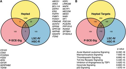Figure 7. Stem cell signatures in AML converge on a core set of signaling pathways. (A) Venn diagram showing the overlap of genes between the Heptad targets and the P-SCE and LSC-R/HSC-R signatures. (B) Venn diagram showing the overlap of pathways in which the P-SCE-sig genes, Heptad target genes,11 and the LSC-R and HSC-R genes3 are significantly represented. The 106 shared pathways were ranked based on whether the component genes in a pathway were differentially expressed between AML patients in the short and long survival groups in Figure 5A; the highest ranked pathways are listed. Also see supplemental Figure 8.