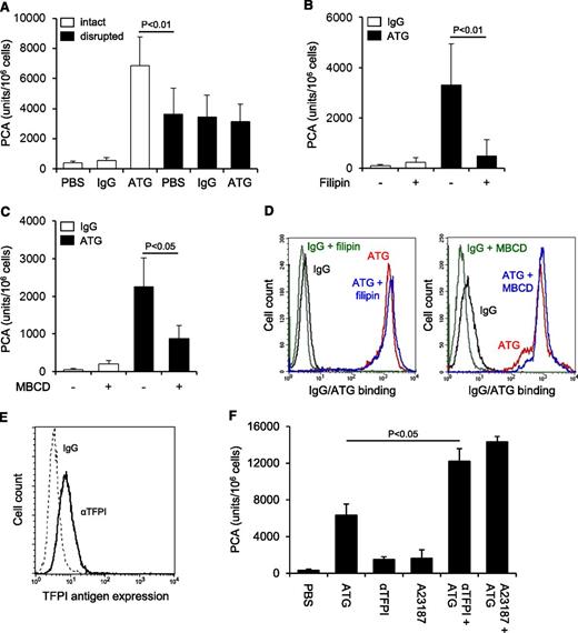 Figure 2. TF activation by ATG requires lipid raft integrity, but does not involve TFPI inhibition. (A) THP1 cells were incubated with PBS, IgG, or ATG (100 µg/mL), washed, and either left intact or disrupted by repeated freeze-thawing. Intact and disrupted cells were mixed 1:1 (v:v) with NHP for 5 minutes at 37°C and analyzed for PCA by a single-stage clotting assay (mean ± SD, n = 3). THP1 cells were pretreated with (B) filipin or (C) methyl-β-cyclodextrin (MBCD) before being loaded with rabbit IgG or ATG (100 µg/mL) and analyzed for PCA as described above (mean ± SD, n = 5). (D) Binding of IgG or ATG (100 µg/mL) to THP1 cells was evaluated using indirect flow cytometry with or without (left) filipin or (right) MBCD pretreatment. Representative histograms are shown. (E) Analysis of TFPI antigen expression on THP1 cells by indirect flow cytometry using polyclonal anti-TFPI (αTFPI) in comparison with control IgG. A representative experiment is shown. (F) THP1 cells were suspended in calcium-HBS and incubated with PBS, ATG (100 µg/mL), inhibitory anti-TFPI (50 µg/mL), and/or calcium ionophore A23187 (20 µM) for 15 minutes at 37°C. Cells were washed, resuspended in PBS, and exposed to NHP before PCA was measured as described above (mean ± SD, n = 3).