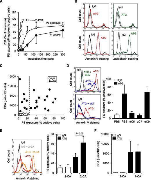 Figure 4. ATG-induced TF activation is not correlated with PS membrane exposure. (A) Time course of cell-associated PCA, PS exposure, and PI uptake after exposing ATG-loaded THP1 cells to NHP. PCA is presented as percent of maximum, whereas PS exposure and PI uptake are presented as percent positive cells (mean ± SD, n = 5-7). (B) Similar binding of (left) annexin V-FITC and (right) lactadherin-FITC to ATG-loaded and NHP-exposed THP1 cells. Histograms are representative of experiments with (top) low and (bottom) high PS exposure. (C) IgG- (○) or ATG-loaded THP1 cells (●) were exposed to NHP for 5 minutes at 37°C. Samples were analyzed for both PCA (clotting assay) and PS exposure (annexin V-FITC binding). The dashed line indicates the upper limit of PS exposure on IgG-loaded cells (n = 22). (D) Effect of C5, C7, and C9 antibodies on PS externalization on ATG-loaded THP1 cells exposed to NHP. Representative (left) histograms and (right) summary statistics indicating percent annexin V-positive cells are shown (mean ± SD, n = 3-7). (E) Coincubation with 20 µM 2-CA enhances PS externalization on ATG-loaded and NHP-exposed THP1 cells. (Left) Representative histograms and (right) summary statistics are shown (mean ± SD, n = 4). (F) 2-CA does not affect TF activation on ATG-loaded and NHP-exposed THP1 cells (mean ± SD, n = 6).