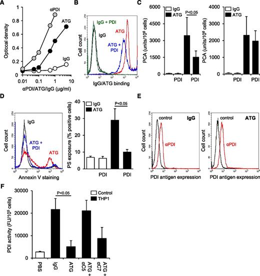 Figure 6. Complement C5 activation induces oxidation of cell surface PDI. (A) Binding of ATG to immobilized recombinant human PDI in comparison with rabbit IgG and polyclonal rabbit anti-PDI (αPDI). (B) Rabbit IgG and ATG were preincubated with recombinant human PDI in a 1:3 molar ratio and subsequently loaded on THP1 cells for 15 minutes at RT (100 µg/mL final concentration). Following washes, cellular binding of IgG and ATG was analyzed by indirect flow cytometry. A representative experiment is shown. (C) (Left) Rabbit IgG and ATG were preincubated with recombinant human PDI in a 1:3 molar ratio before PCA of IgG- and ATG-loaded THP1 cells was measured as described above (mean ± SD, n = 5). (Right) As a control experiment, recombinant PDI was added to THP1 cells after IgG or ATG loading (mean ± SD, n = 3). (D) IgG and ATG were preincubated with recombinant PDI as described above. Following loading on THP1 cells and exposure to NHP, annexin V-FITC binding was analyzed by flow cytometry. A (left) representative experiment and (right) summary statistics are shown (mean ± SD, n = 3). (E) (Left) IgG- or (right) ATG-loaded THP1 cells were exposed to NHP and subsequently analyzed for PDI antigen expression by single-color flow cytometry using monoclonal antibody 1D3 (αPDI) in comparison with an isotype-matched control. A representative experiment is shown. (F) ATG-loaded THP1 cells were exposed to NHP in the absence or presence of 50 µg/mL eculizumab (αC5) or blocking C7 monoclonal antibody (αC7). Following washes, cell-associated PDI activity was measured as described above (mean ± SD, n = 3).