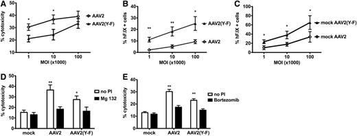 Figure 4. In vitro killing of AAV-pulsed murine hepatocytes by capsid-specific CD8+ T cells. (A) Percent death of target cells (adult BALB/c hepatocyte cell line H2.35), pulsed with either AAV2 or AAV2(Y-F), as a function of MOI (at effector to target ratio of 80:1). (B) Percent surviving hF.IX+ H2.35 hepatocytes (as determined by flow cytometry after completion of in vitro killing assay) pulsed with either AAV2 or AAV2(Y-F), as a function of MOI (at effector to target ratio of 80:1). (C) Percent hF.IX+ H2.35 hepatocytes transduced with either AAV2 or AAV2(Y-F) (in the absence of effector cells) as a function of MOI. Data are average ± SD for quadruplicate measurements. Panels are representative examples of at least 2 experiments. Statistically significant differences between AAV2 and AAV2(Y-F) for a specific target:effector ratio: *P < .05; **P < .01, unpaired, 2-tailed t test. (D-E) Effects of proteasomal inhibition on liver target cell death. Shown are percent dead H2.35 target cells that had been pulsed with either AAV2 or AAV2(Y-F) at MOI of 104 vg per cell and treated with proteasomal inhibitor (PI). Liver cells were treated with 100 nM bortezomib (D) or 300 nM MG-132 (E). Controls include mock-transduced target cells and cells that were not treated with PI. Assays were again performed in quadruplicate.