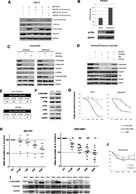 Figure 3. Role of class IA isoforms in BCR-induced and constitutive PI3K signaling. (A) Jeko-1 cells were pretreated for an hour with isoform-selective inhibitors (1 µM) as indicated, followed by IgM stimulation with 10 µg/mL anti-human IgM F(ab') fragments for 10 minutes. Phospho-Akt (thr308) levels were compared by western blotting with nonstimulated and IgM-stimulated Jeko-1 controls. P-Syk (tyr525/526) was used as a marker of BCR activation. GS-1101 (p110δ-selective) blocked p-Akt production, whereas A66 (p110α-selective) and TGX-221 (p110β-selective) did not. (B) Real-time PCR and western blotting confirming increased expression of PIK3CA and p110α in Granta519 MCL cell lines compared with the lymphoblastoid cell line NcNc. (C) Western blot comparing downstream effects of GS-1101 (1 μM) and GDC-0941 (1 μM), at 2 time points demonstrating incomplete and nonsustained effect of GS-1101 on p-Akt, p-GSK3β, and p-S6. (D) Western blots were performed with serum-starved (4 hours) Granta519 cells treated with GS-1101, GDC-0941, and combinations of GS-1101 with A66 or TGX-221 (all 1 µM), for 2 hours, confirming the effect of p110α on constitutive PI3K activation. (E) Comparison of 50% inhibition/inhibitory concentration of GS-1101 and GDC-0941 for the 4 class I isoforms. GS-1101 is highly p110δ-selective, whereas p110α is predominantly p110α/δ-selective. The activity of both inhibitors against p110γ is comparable. (F) Western blot showing expression of p-Akt (t308) and the class IA catalytic unit isoforms in Jeko-1 and Granta519. (G) Greater growth inhibition is seen in Granta519 and Jeko-1 with GDC-0941 compared with GS-1101, whereas A66 has a minimal effect. (H) Dot plots showing greater cytotoxicity (ATP assay) with GDC-0941 compared with GS-1101 in 12 primary MCL samples with significant toxicity at and above 0.1 µM. (I) Western blot showing p-Akt (thr308) expression in the same 12 MCL cell suspensions. (J) Comparative cytotoxicity (ATP assay) of GDC-0941 and GS-1101 in 3 healthy B cells showing somewhat greater, but not statistically significant, cytotoxicity at all concentrations with GDC-0941. *P < .05, **P < .01.