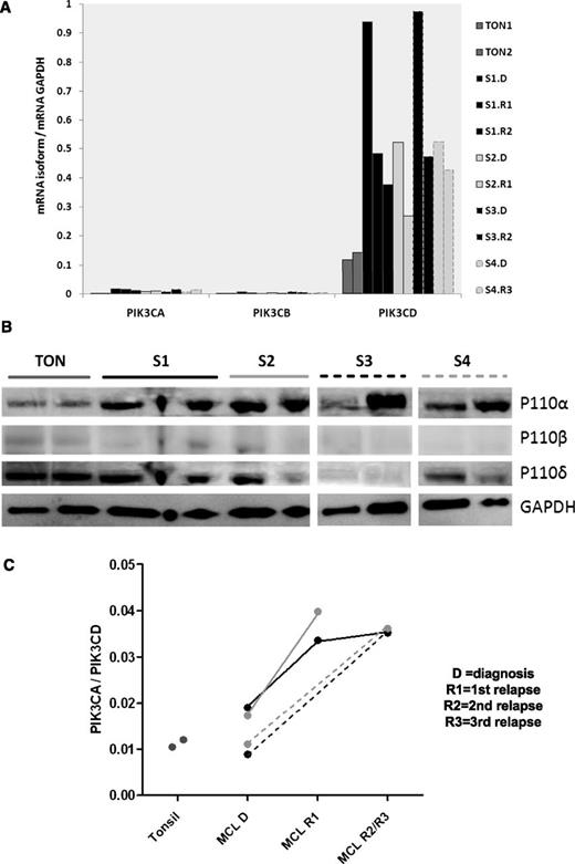 Figure 5. PIK3CA/PIK3CD increases with relapse in MCL. (A) Gene expression of the PI3K class IA isoforms compared with 2 tonsil controls (gray). Serial biopsies from the same patient are in the same color (B) western blot showing very weak expression of p110β and a clear increase in MCL p110α compared with tonsil while p110δ protein expression in MCL is similar to tonsil controls. Increase in p110α with relapse is apparent in 2 out of 4 serial biopsies (C) Dot plot showing a significantly higher PIK3CA/PIK3CD ratio in all relapsed samples compared with matched diagnostic samples and tonsil controls.