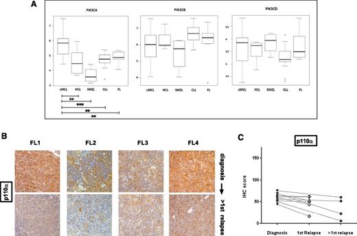 Figure 6. P110α expression does not increase with relapse in follicular lymphoma and gene expression of PIK3CA is significantly higher in MCL compared with indolent NHL and CLL. (A) Gene expression of class IA PI3K isoforms at diagnosis in MCL was compared with indolent NHL using publicly available Affymetrix data (European Bioinformatics Institute, www.ebi.ac.uk ref: E-GEOD-16455) with the web-based software O-miner. cMCL, conventional MCL, CLL, chronic lymphocytic leukemia, FL, follicular lymphoma; HCL, hairy cell leukemia, SMZL, splenic marginal zone lymphoma. PIK3CA expression is significantly higher in MCL compared with indolent NHLs (Benjamini-Hochberg multiple testing adjusted P values: cMCL vs HCL = .005, cMCL vs SMZL = .0001 cMCL vs CLL = .003, cMCl vs FL = .05) in this study, whereas PIK3CB and PIK3CD expression is not. (*P < .05, **P < .01, ***P < .001). (B) IHC images of 4 follicular lymphoma diagnosis: second-relapse pairs showing no increase in p110α expression with relapse (original magnification ×200). (C) Dot plot comparing expression of p110α in sequential biopsies from follicular lymphoma patients (n = 10). No evidence of increased p110α expression is seen with relapse. Pairs are connected by straight lines.
