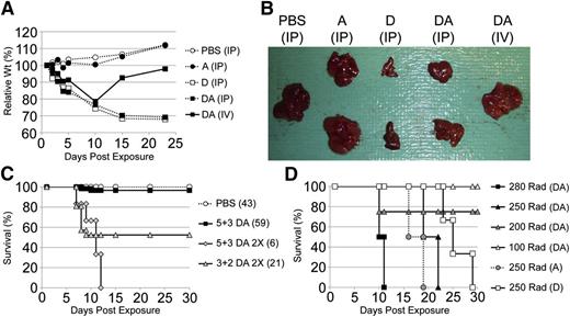 Figure 1. Optimization of chemotherapy delivery for immunodeficient mice. (A) Weights of representative mice exposed to chemotherapy (A, cytarabine; D, doxorubicin; DA, combined cytarabine and doxorubicin; IP, intraperitoneal delivery; IV, intravenous delivery). Cytarabine was given on days 1 to 5 and doxorubicin on days 1 to 3 only. (B) Whole livers were isolated from mice 28 days after initiation of drug injections. (C) Survival of mice was monitored for 30 days after exposure to different doses of cytarabine and doxorubicin. DA indicates 1.5 mg/kg doxorubicin and 50 mg/kg cytarabine. DA 2× is 3.0 mg/kg doxorubicin and 100 mg/kg cytarabine. The first number of 5+3 or 3+2 is the number of daily doses of cytarabine, and the second indicates the same for doxorubicin. A consistent volume was injected at each dose (10 microliters per gram of body weight) by preparing appropriate stock solutions. (D) Survival of mice receiving the optimized maximum-tolerated doses of D+A chemotherapy following the indicated sublethal doses of whole-body irradiation.
