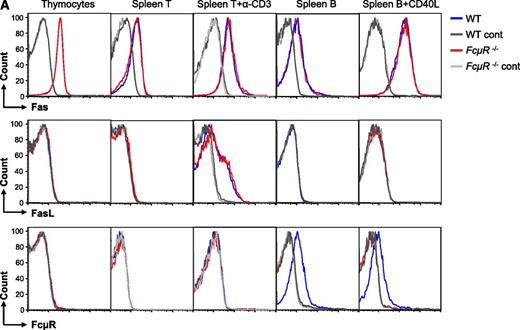 Figure 1. FcμR is not involved in Fas-mediated apoptosis in mouse T and B cells. (A) Expression of Fas, FasL, and FcμR by WT and FcμR−/− thymocytes and T and B cells before and after activation. To analyze Fas, FasL, and FcμR expression, cells were first incubated with a rat IgG2b anti-mouse CD16/CD32 antibody (clone 2.4G2; BD Biosciences) to block FcγR. For Fas expression, cells were stained with PE/Cy7 anti-CD95 (clone Jo2; BD Biosciences) or an isotype control (PE/Cy7 hamster IgG2, clone Ha4/8; BD Biosciences). For FasL expression, cells were stained with PE anti-CD178 (clone MFL3; Biolegend) or an isotype control (PE hamster IgG, clone HTK888; Biolegend). For FcμR expression, cells were first stained with the rat anti-mouse FcμR mAb (clone 4B5) or an isotype control (rat IgG2a; BD Biosciences), and then stained with PE anti-rat IgG2a (clone RG7/1.30; BD Biosciences). Purified spleen T and B cells were stimulated with plate-bound anti-CD3 (clone 2C11, 10 μg/mL) and CD40L for 44 hours, respectively. CD40L, CD40 ligand; Ig, immunoglobulin; mAb, monoclonal antibody; PE, phycoerythrin. (B) Normal Fas-mediated cell death in FcμR−/− thymocytes. Thymocytes were cultured with increasing concentrations of the Jo2 anti-Fas (left panel) or FasL in the presence of 0.5 μg/mL cycloheximide (right panel). (C) Normal Fas-mediated cell death in FcμR−/− spleen T cells before and after activation. Left panel, Spleen T cells were treated with increasing concentrations of FasL for 4 hours. Middle panel, Spleen T cells were cultured for 48 hours in medium alone or in the presence of plate-bound anti-CD3 (clone 2C11, 10 μg/mL) to induce AICD. Right panel, Cells were cultured in the presence of plate-bound anti-CD3 for 48 hours, and increasing concentrations of FasL were added for the last 4 hours. (D) Normal Fas-mediated cell death in FcμR−/− B cells. Purified spleen B cells (left 2 panels) or spleen B cells stimulated with CD40L for 44 hours (right 2 panels) were cultured for 4 hours in the presence of increasing concentrations of the Jo-2 anti-Fas or FasL. Cells were stained with 7-AAD, and the cell death was calculated by the following formula: (experimental cell death − spontaneous cell death)/(100 − spontaneous cell death).9,10 7-AAD, 7-Aminoactinomycin D.