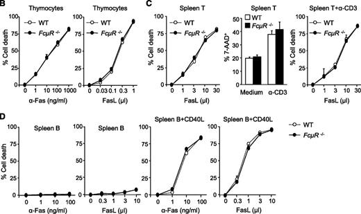 Figure 1. FcμR is not involved in Fas-mediated apoptosis in mouse T and B cells. (A) Expression of Fas, FasL, and FcμR by WT and FcμR−/− thymocytes and T and B cells before and after activation. To analyze Fas, FasL, and FcμR expression, cells were first incubated with a rat IgG2b anti-mouse CD16/CD32 antibody (clone 2.4G2; BD Biosciences) to block FcγR. For Fas expression, cells were stained with PE/Cy7 anti-CD95 (clone Jo2; BD Biosciences) or an isotype control (PE/Cy7 hamster IgG2, clone Ha4/8; BD Biosciences). For FasL expression, cells were stained with PE anti-CD178 (clone MFL3; Biolegend) or an isotype control (PE hamster IgG, clone HTK888; Biolegend). For FcμR expression, cells were first stained with the rat anti-mouse FcμR mAb (clone 4B5) or an isotype control (rat IgG2a; BD Biosciences), and then stained with PE anti-rat IgG2a (clone RG7/1.30; BD Biosciences). Purified spleen T and B cells were stimulated with plate-bound anti-CD3 (clone 2C11, 10 μg/mL) and CD40L for 44 hours, respectively. CD40L, CD40 ligand; Ig, immunoglobulin; mAb, monoclonal antibody; PE, phycoerythrin. (B) Normal Fas-mediated cell death in FcμR−/− thymocytes. Thymocytes were cultured with increasing concentrations of the Jo2 anti-Fas (left panel) or FasL in the presence of 0.5 μg/mL cycloheximide (right panel). (C) Normal Fas-mediated cell death in FcμR−/− spleen T cells before and after activation. Left panel, Spleen T cells were treated with increasing concentrations of FasL for 4 hours. Middle panel, Spleen T cells were cultured for 48 hours in medium alone or in the presence of plate-bound anti-CD3 (clone 2C11, 10 μg/mL) to induce AICD. Right panel, Cells were cultured in the presence of plate-bound anti-CD3 for 48 hours, and increasing concentrations of FasL were added for the last 4 hours. (D) Normal Fas-mediated cell death in FcμR−/− B cells. Purified spleen B cells (left 2 panels) or spleen B cells stimulated with CD40L for 44 hours (right 2 panels) were cultured for 4 hours in the presence of increasing concentrations of the Jo-2 anti-Fas or FasL. Cells were stained with 7-AAD, and the cell death was calculated by the following formula: (experimental cell death − spontaneous cell death)/(100 − spontaneous cell death).9,10 7-AAD, 7-Aminoactinomycin D.