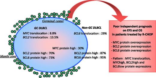 MYC, BCL2, and BCL6 rearrangements and protein expression regarding cell of origin classification and their prognostic impact in patients with DLBCL treated by R-CHOP. MYC and BCL2 rearrangements were more frequently observed in GCB-DLBCL and BCL6 translocation was more frequently observed in non-GCB-DLBCL, whereas at the protein level, no significant difference with respect to MYC overexpression was noted between GCB- and non-GCB-DLBCLs. The survival analyses showed that, taken individually, MYC, BCL2, and BCL6 protein overexpression was associated with an adverse prognosis, independently of the IPI score. The pattern associating MYChigh, BCL2high, BCL6low, and MYC rearrangement was highly predictive of the prognosis, independent of the IPI score.