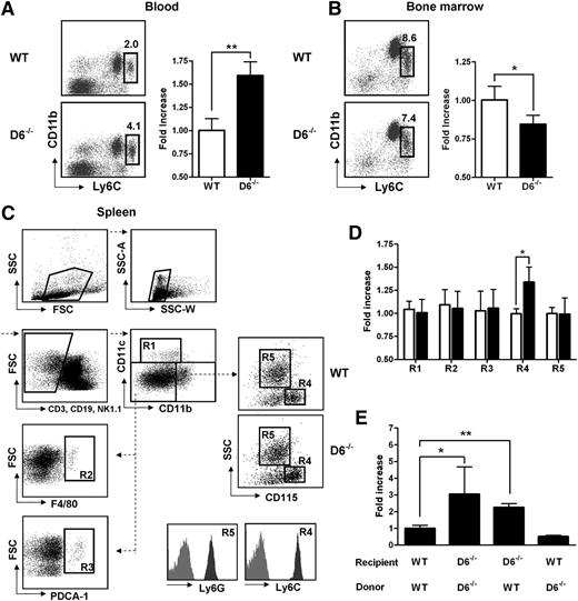 Figure 1. Lack of D6 on the nonhematopoietic compartments causes increased number of inflammatory monocytes. (A) Percentage in CD45+ gate (left panel) and fold increase of absolute number (right panel) of CD11b+/Ly6Chigh monocytes recovered from blood in D6–/– (black bar) versus WT mice (white bar). (B) Fold increase of percentage of CD11b+/Ly6Chigh monocytes in total BM CD45+ leukocytes of D6–/– (black bar) and WT mice (white bar). (C) Gating strategy for evaluating the percentage and absolute numbers of leukocytes in mouse spleen. Dead cells, doublets, and CD3+, CD19+, and NK1.1+ cells were excluded for further analysis. Cell labeling with anti-CD11b and CD11c allows identification of myeloid DCs (R1: CD11b+/CD11chigh), red pulp macrophages (R2: F4/80+), and plasmacytoid DCs (R3: PDCA-1+) in the CD11cdim/CD11bdim gate. Inflammatory monocytes (R4) and neutrophils (R5) are distinguished within the CD11bhigh population as SSClow/CD115+/Ly6Chigh and SSChigh/CD115–/Ly6Ghigh, respectively. Gates are based on isotype controls. (D) Fold increase of the absolute number of cells in spleen of D6–/– (black bar) versus WT (white bar) mice based on gated strategy used in panel C. (E) Fold increase of the absolute number of CD11b+/Ly6Chigh monocytes in blood of D6–/– (Ly5.2) mice reconstituted with WT Ly5.1 or D6–/– BM cells and in WT mice (Ly5.1) reconstituted with D6–/– BM cells versus WT mice (Ly5.1) reconstituted with WT mice (Ly5.2). In all panels, data are representative of 4 independent experiments (n = 10 mice/experiment). *P < .05. **P < .005.