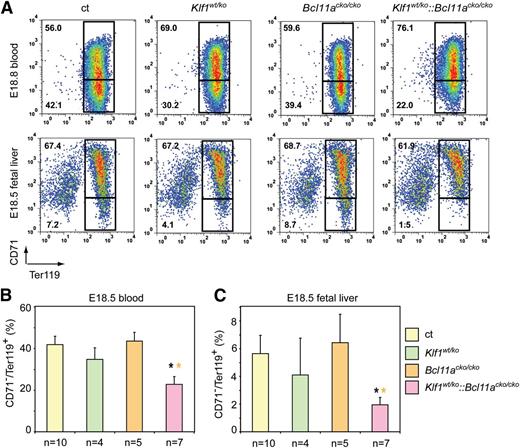 Figure 4. Flow cytometry analysis of blood and fetal liver cells at E18.5. (A) Gating strategy of Ter119 and CD71-stained blood and fetal liver cells of E18.5 embryos. Mature erythrocytes are in the lower quadrant (CD71−Ter119+). (B) The percentage of CD71−Ter119+ cells in E18.5 blood. (C) The percentage of CD71−Ter119+ cells in E18.5 fetal livers. *P < .05 between mutant and control groups.