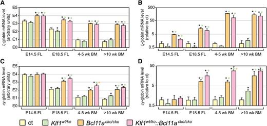 Figure 7. Expression of embryonic ζ- and εy-globins in compound mutant mice. (A,C) QRT-PCR analysis of mouse ζ- and εy-globin, absolute expression levels calculated relative to expression of mouse α-globin. (B,D) Expression levels relative to those observed in control mice of the same age group; expression of α-globin was used for normalization. N = 3 to 5 for each genotype and time point. Note logarithmic scales. *P < .05 between mutant and control groups; P < .05 between mutant groups is indicated by a color-matched asterisk.