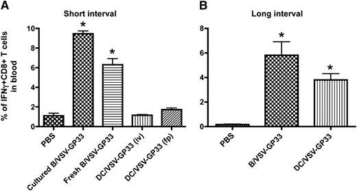 Figure 1. Viral vector-loaded B cells are more potent than DCs for boosting CD8+ T-cell immunity. C57BL/6 mice were primed IP with 2 × 107 pfu of Vac-GP33 and boosted with 3 × 106 B/VSV-GP33 by i.v. injection or DC/VSV-GP33 via either IV or footpad administration at a 14-day (A) or 30-day (B) interval. Five days post-boost, the frequency of GP33-specific T cells in blood were enumerated by detection of intracellular IFNγ production following in vitro stimulation with the peptide. *Significantly higher CD8+ T-cell response compared with all other groups (P < .01). Data are representative of duplicate experiments using 5 mice per group, per experiment.