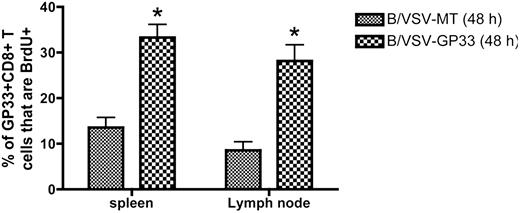 Figure 5. Early proliferation of antigen-specific CD8+ T cells occurs in spleen and lymph nodes following booster vaccination with B/VSV. Ad-GP33–primed (1 × 108 PFU intramuscularly) C57BL/6 mice were boosted 14 days later with B/VSV-GP33 or B/VSV-MT as control. FTY 720 was given 2 hours before B/VSV delivery to block lymphocyte circulation. Each group received IP injection of BrdU 24 hours before tissue harvest, at which time BrdU+ GP33-specific CD8+ T cells were enumerated (n = 5/group/time point; *P < .01 compared with B/VSV-MT control). IFN, interferon.