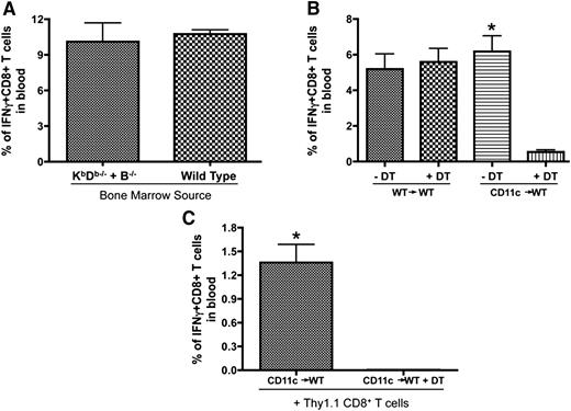 Figure 6. Endogenous DCs but not B cells are required for secondary expansion of CD8+ T cells. (A) Lethally irradiated C57BL/6 mice received 5 × 106 bone marrow cells from B−/− mice plus 1 × 106 bone marrow cells from KbDb−/− (B−/− + KbDb−/−) or WT (B−/− + WT) donors. Mice were primed with Vac-GP33 and boosted with B/VSV-GP33 after complete hematopoietic reconstitution. GP33-specific CD8+ T cells were quantified in blood at day 5 post-B/VSV boosting (n = 6/group). (B) CD11c-DTR chimeric mice (CD11c→WT) and their WT controls (WT→WT) were primed with Ad-GP33 and boosted with B/VSV-GP33. One day prior to B/VSV and every other day thereafter, mice received 100 ng of DT (IP) to deplete CD11c+ cells. GP33-specific CD8+ T cells were quantified in blood at day 5 post-VSV boosting (n = 5/group, *P < .01 compared with DT injection). (C) Negatively selected splenic CD8+ T cells from Ad-GP33–immunized congenic mice (Thy1.1) were adoptively transferred into similarly immunized CD11c chimeric recipients (Thy1.2) before B/VSV-GP33 boosting. DT injections were carried out as described previously and GP33-specific Thy1.1+CD8+ T cells were quantified in blood at day 5 post-VSV boosting (n = 5/group, *P < .01 compared with DT injection).