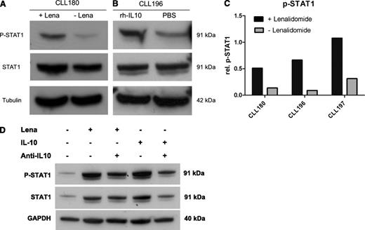 Figure 3. Activation of STAT1 in CLL cells upon lenalidomide or IL-10 treatment. (A) A total of 3 × 107 PBMC from CLL patients were cultured in the presence or absence of 10 µM lenalidomide in 4 mL complete medium in 6-well plates for 3 days. Cell lysates were analyzed by immunoblotting using anti-STAT1, anti-phospho STAT1(Tyr701), and anti-tubulin antibodies. One representative result out of 3 independently performed experiments is shown. (B) A total of 3 × 107 PBMC from CLL patients were cultured in the presence or absence of 50 ng/mL recombinant human (rh-)IL-10 in 4 mL complete medium in 6-well plates for 2 days. Immunoblot analysis was performed as described in panel A. One representative result out of 3 independently performed experiments is shown. (C) Corresponding to Figure 3A: Quantification of protein bands by ImageJ software revealed significantly stronger p-STAT1 signals in lenalidomide-treated samples (P = .037). (D) A total of 1 × 107 CLL PBMC were cultured for 3 days in the presence of 10 µM lenalidomide or 50 ng/mL IL-10 in combination with either 10 µg/mL anti–IL-10 or isotype control antibodies. All supplements were added to the medium at days 0 and 2. After 3 days of culture, cells were harvested and immunoblot analysis was performed as described in panel A.